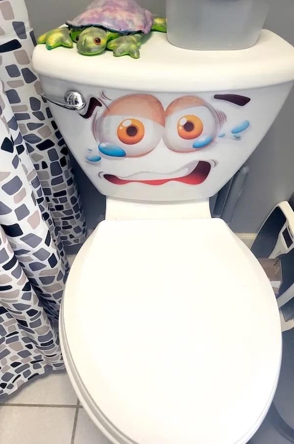 A bizarre and slightly unsettling funny meme photo of a standard white toilet. The back tank has been decorated with a large cartoon decal of a sweaty, wide-eyed face looking downwards with a expression of pure terror and regret.