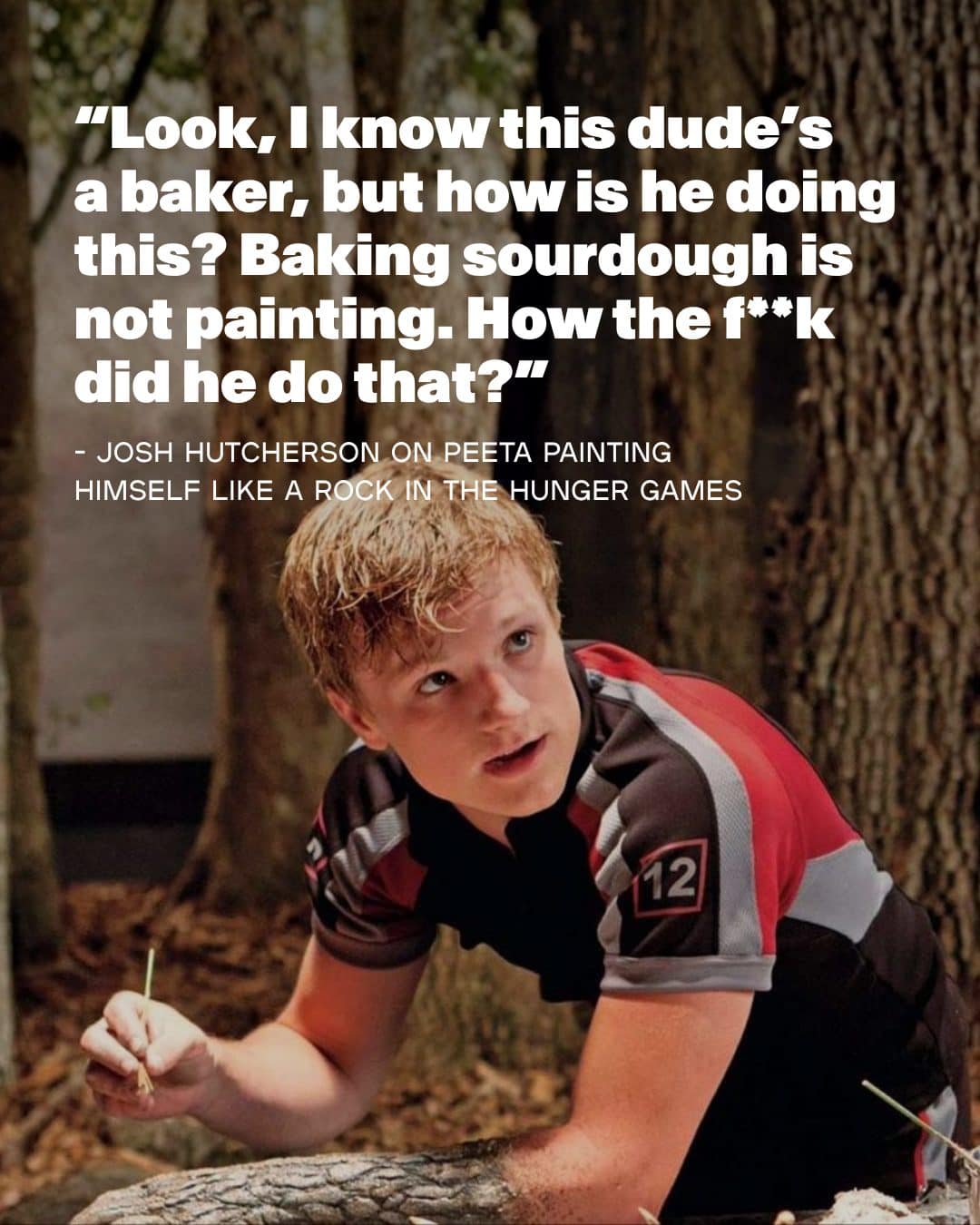 A movie-logic hilarious meme featuring Josh Hutcherson as Peeta Mellark from The Hunger Games. The text mocks the character's improbable ability to paint himself into a hyper-realistic rock texture using only "cake decorating skills," wondering how a baker managed such elite camouflage.