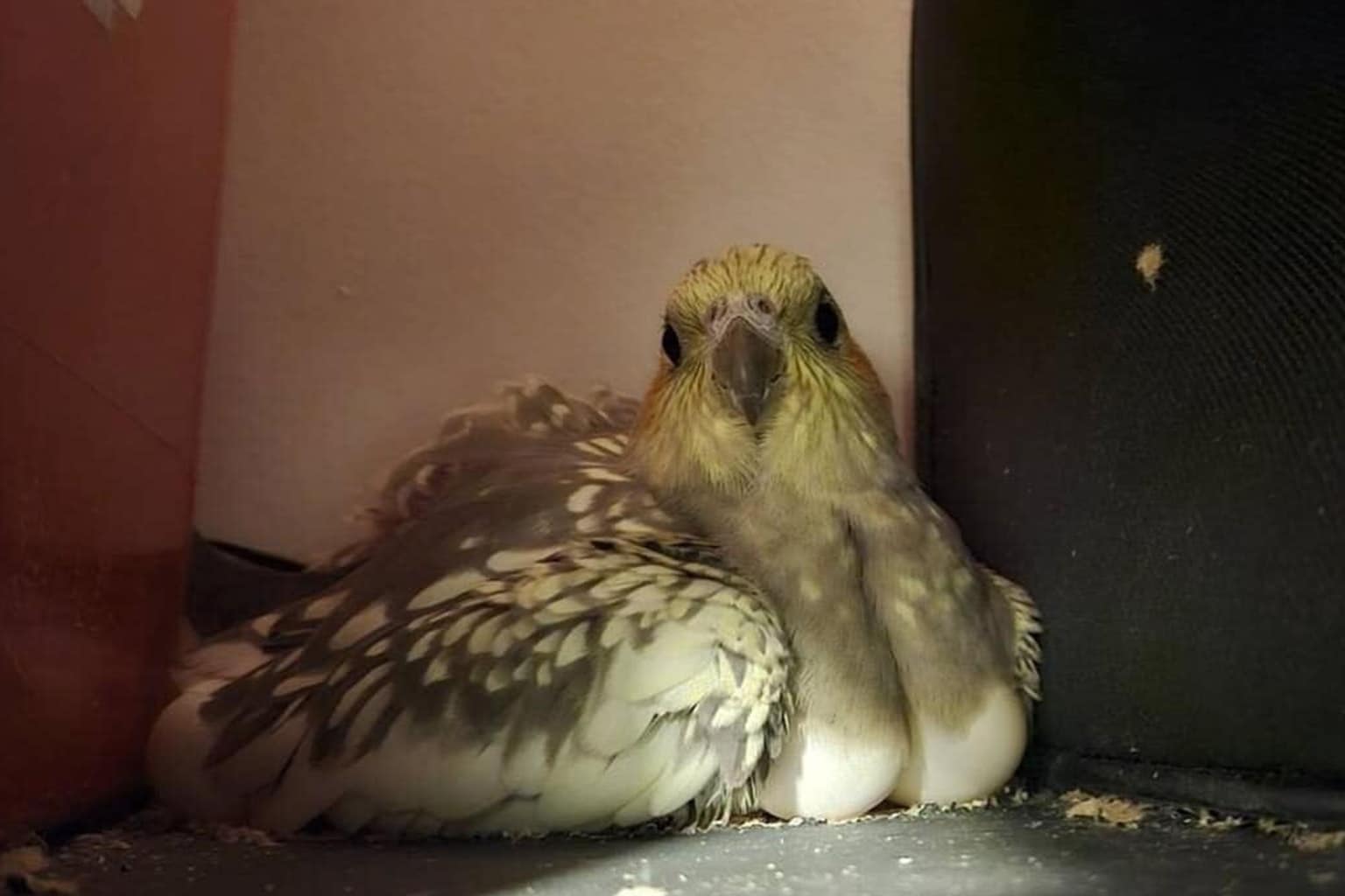 A comprehensive funny meme dump capturing the chaotic pulse of 2026, featuring the El Arroyo sign's plea for no more 2-factor authentication, a skeleton's ironic take on being a "hard worker," and the peak-nostalgia glory of a 90s entertainment center filled with retro consoles.