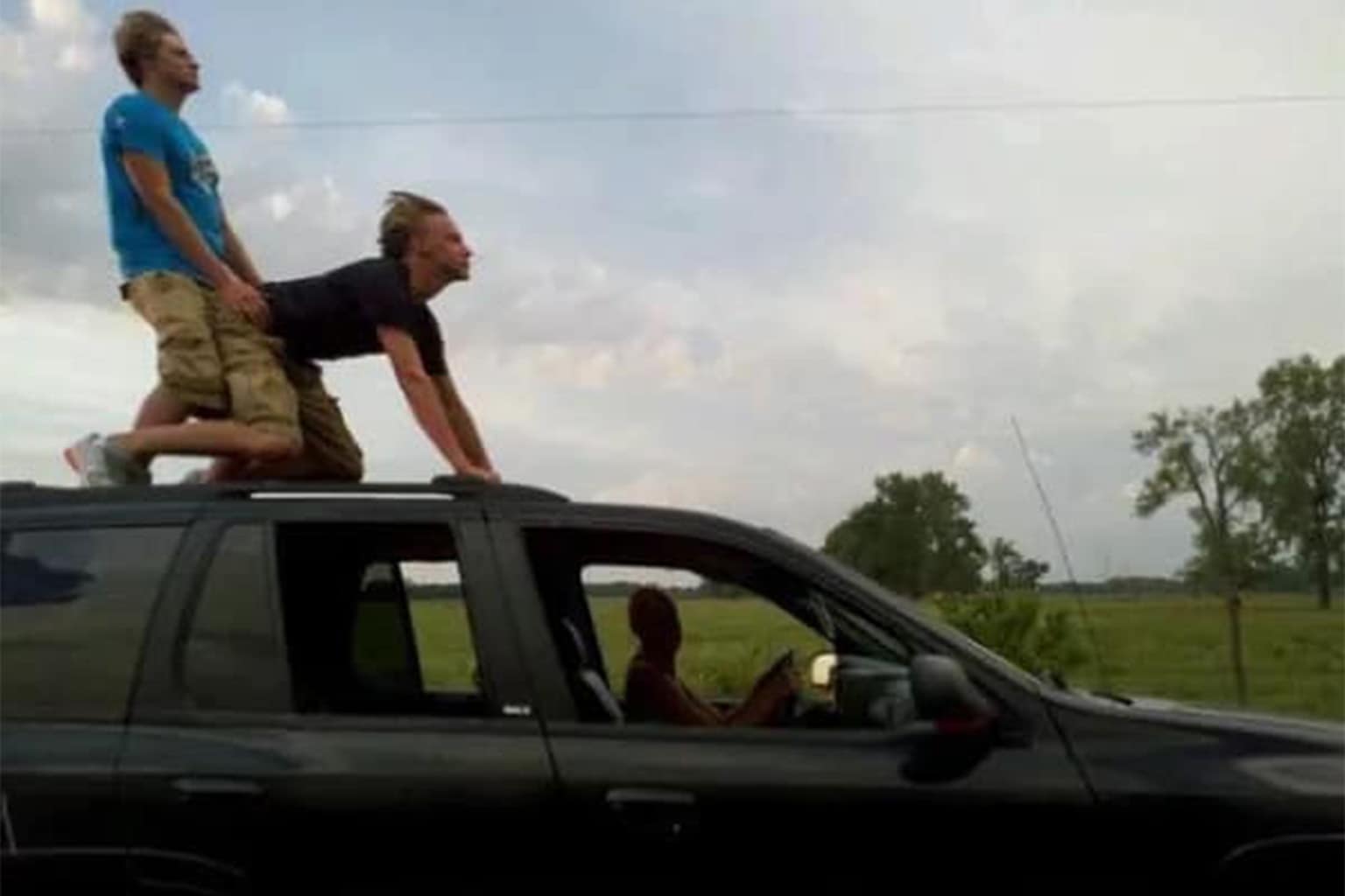 A meme dump featuring an intense karate-kid action poster with a wall of flames, a single green M&M misshapen into the shape of a butt, and a Furby with long human legs perched in a tree stump.