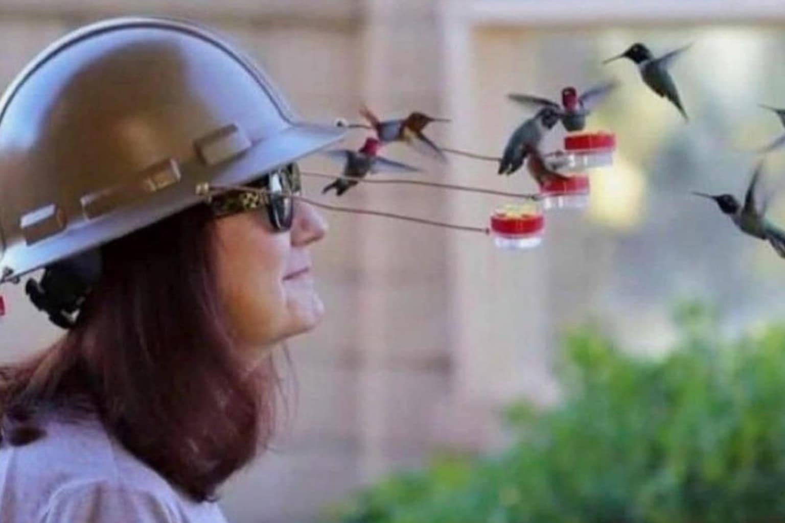 April 12 meme dump collection is a high-octane celebration of unhinged logic and sensory chaos, blending corporate satire with the visceral, often "feral" reality of adulthood