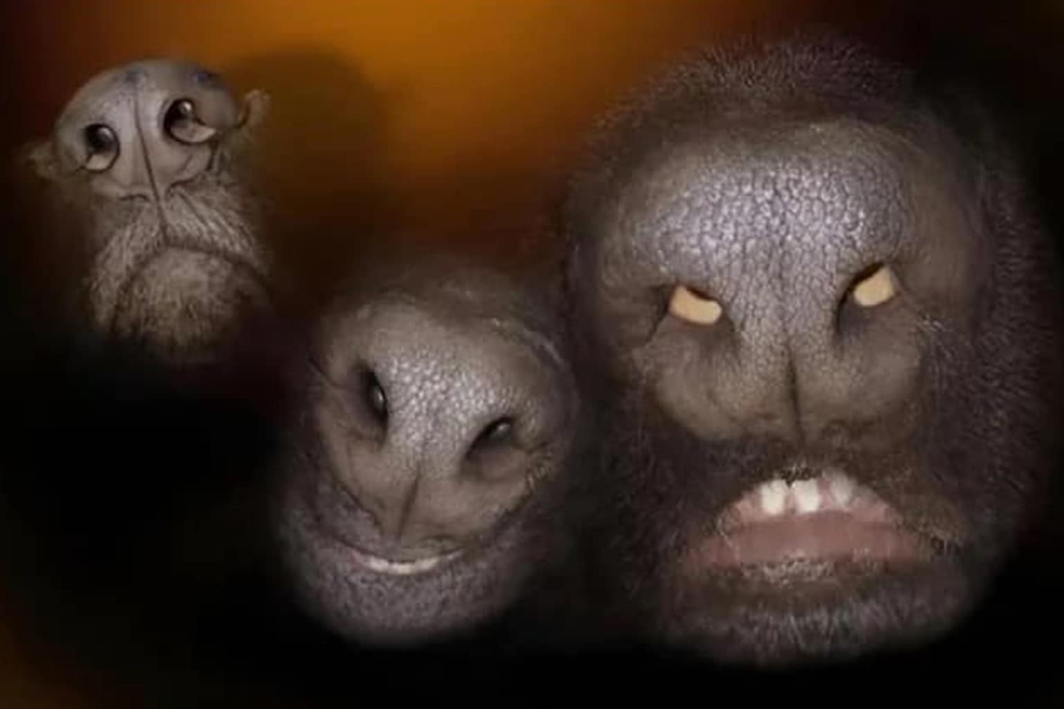 meme dump collection capturing the peak of internet absurdity, featuring a medieval knight fighting with an "extra sharp" block of cheddar, a hyper-detailed chocolate "Tyrannomisu" T-Rex skull, and a cat sculpture made of butter that has definitely overstayed its welcome at the dinner table.