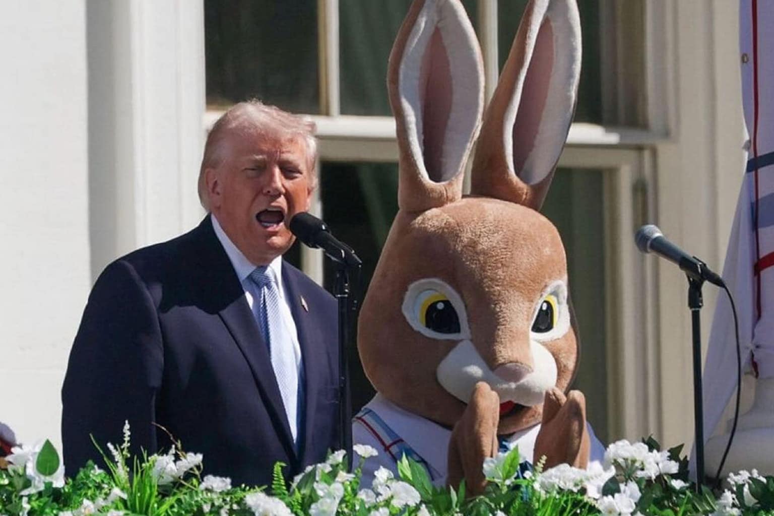 A meme dump that includes a muscular little person labeled "Pea Diddy," a muscular cat on a t-shirt asking how much protein is needed to restore the light in its eyes, and a McDonald's sign instructing customers to use the children's ball pit as a toilet.