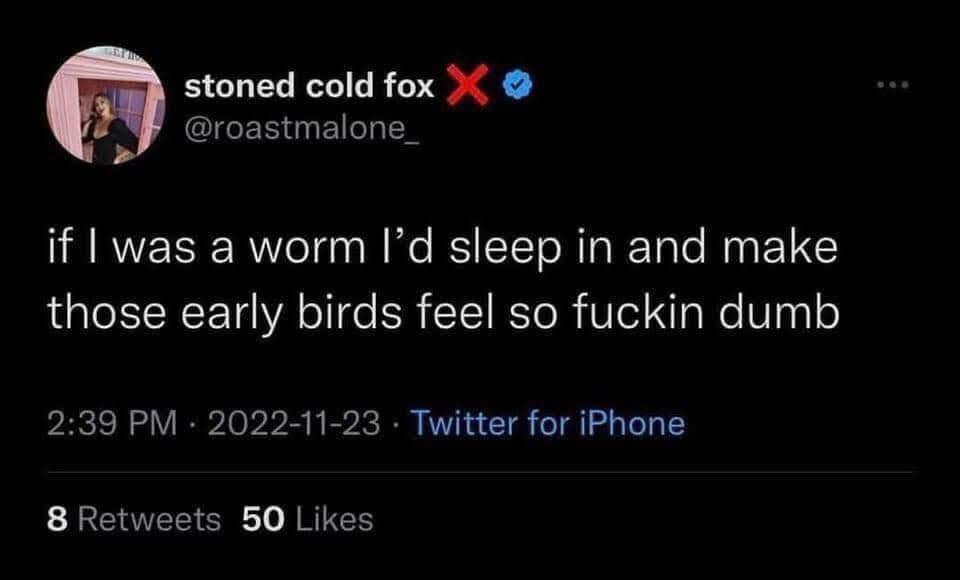 A highly amusing funny meme shows an incredibly long, slender grey cat wrapped completely around a person’s neck like a scarf, with simple text stating "i love him."