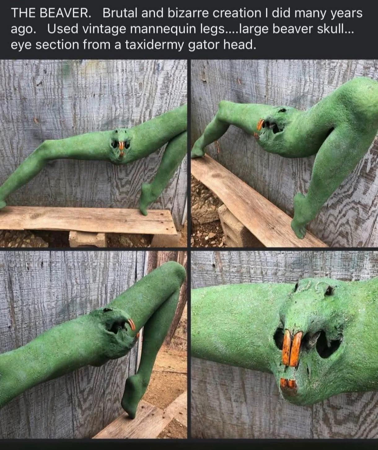A truly cursed addition to this meme dump titled "THE BEAVER." It shows a bizarre sculpture made of green-painted mannequin legs, a beaver skull with oversized orange teeth, and taxidermy alligator eyes, resulting in a brutal and bizarre creature.