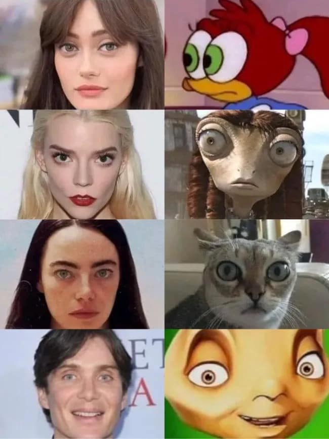 A hilarious meme collage comparing famous actors to their animated doppelgängers. It pairs Ella Purnell with a Woody Woodpecker character, Anya Taylor-Joy with a lizard from Rango, Emma Stone with a wide-eyed cat, and Cillian Murphy with a character from Antz.