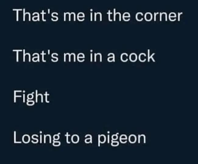 A lyrical parody of the R.E.M. song Losing My Religion where the lyrics are changed to describe being in a cockfight and losing to a pigeon. This type of wordplay is a common comedic beat in a long meme dump or on social media.