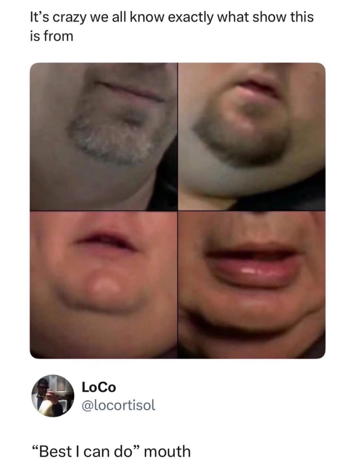 A highly recognizable meme dump collage featuring four extreme close-ups of the lower faces and goatees of the Pawn Stars cast. A user comment perfectly summarizes the aesthetic as having "“Best I can do” mouth," referencing Rick Harrison's iconic negotiation line.