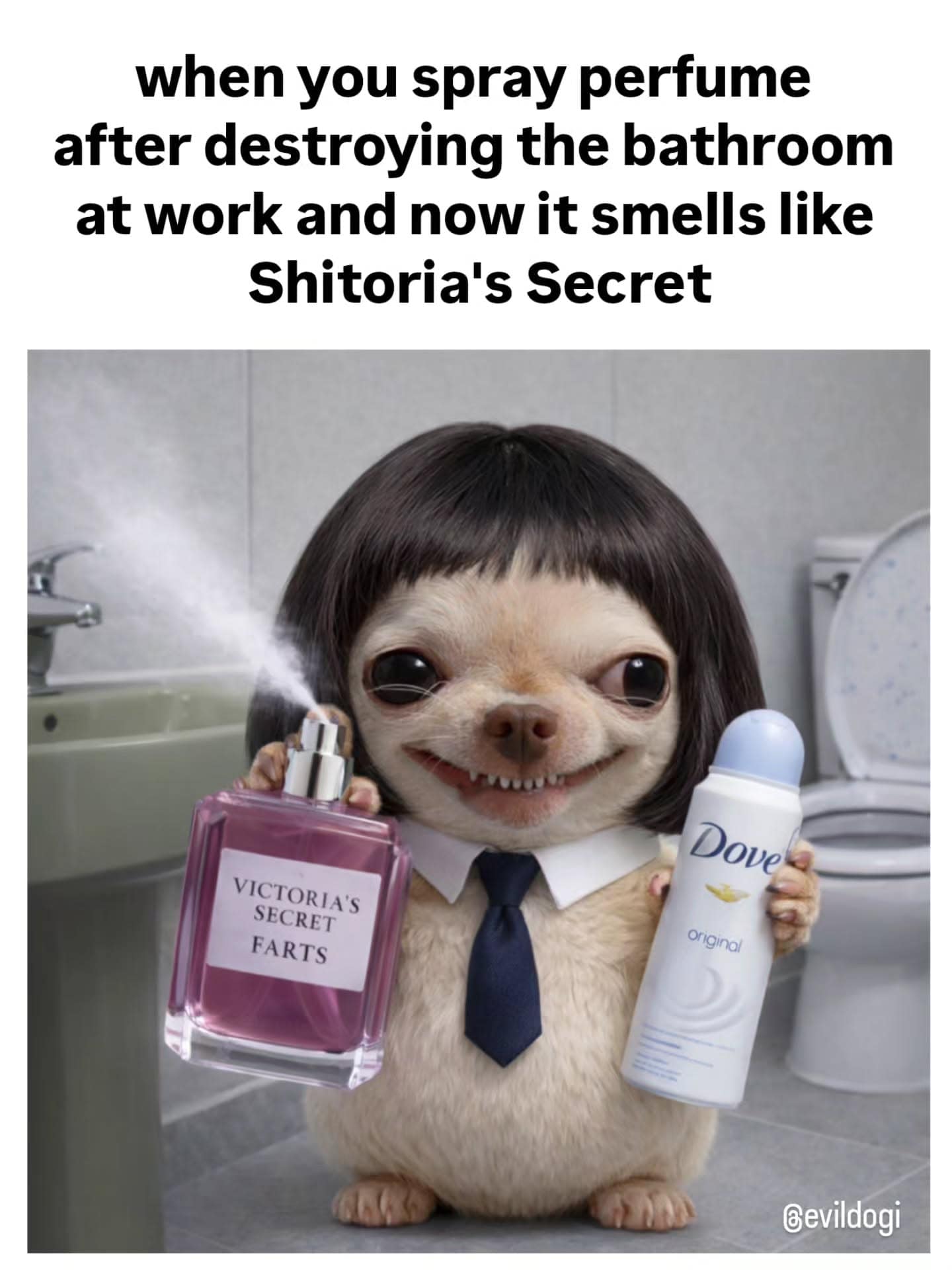 hilarious meme featuring a chihuahua with a black bob wig and a tie. The dog holds a bottle of "Victoria's Secret FARTS" perfume and deodorant, captioned about the futile attempt to mask "destroying the bathroom" at work.