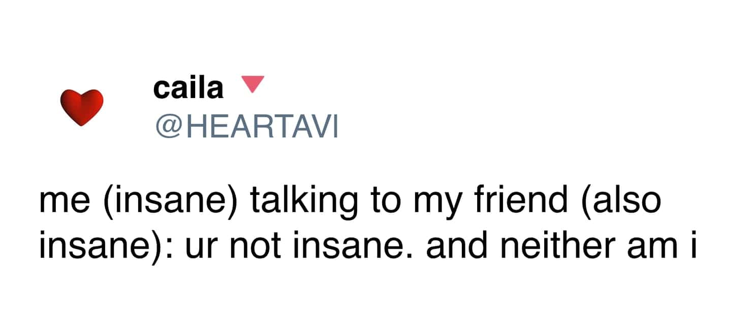 Tweet about two insane friends telling each other they are both completely sane.