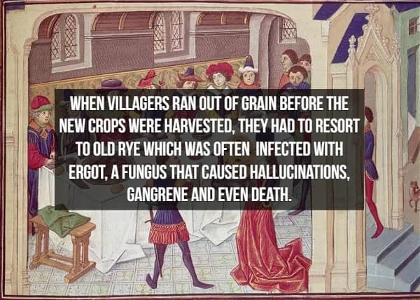 Medieval illuminated manuscript scene with fact about ergot fungus causing hallucinations and death