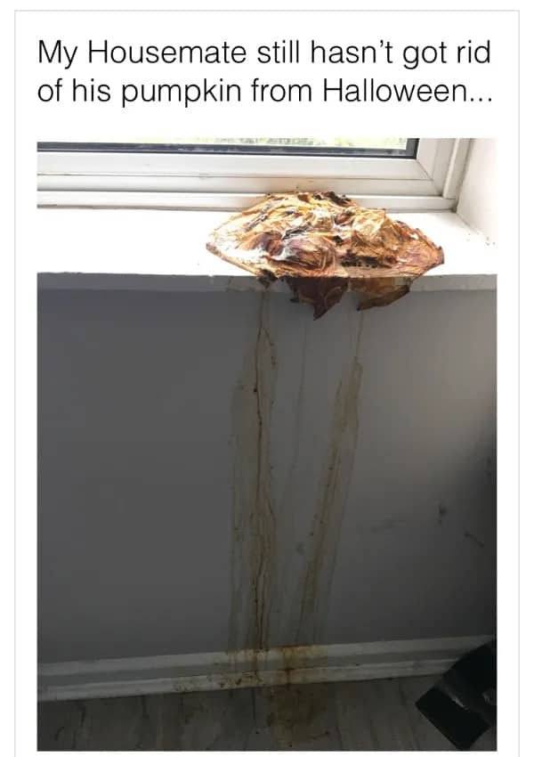 Decomposed Halloween pumpkin melted and dripping brown liquid streaks down white wall