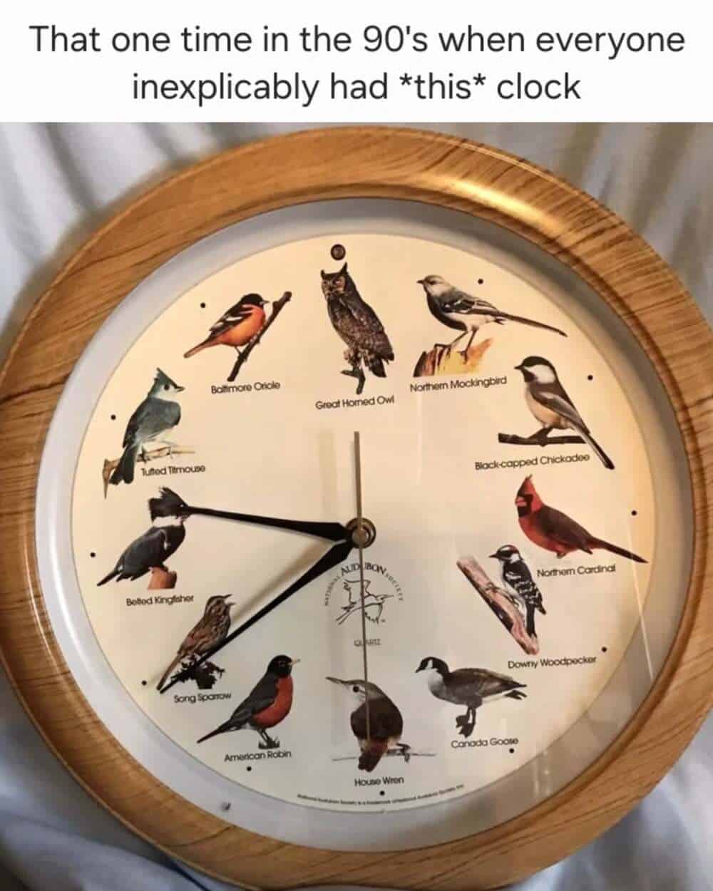 A millennial meme showing the legendary Audubon Society bird clock, featuring 12 different North American birds that would chirp at the top of every hour. The text notes that for some reason, everyone in the 90s inexplicably owned this exact piece of decor.