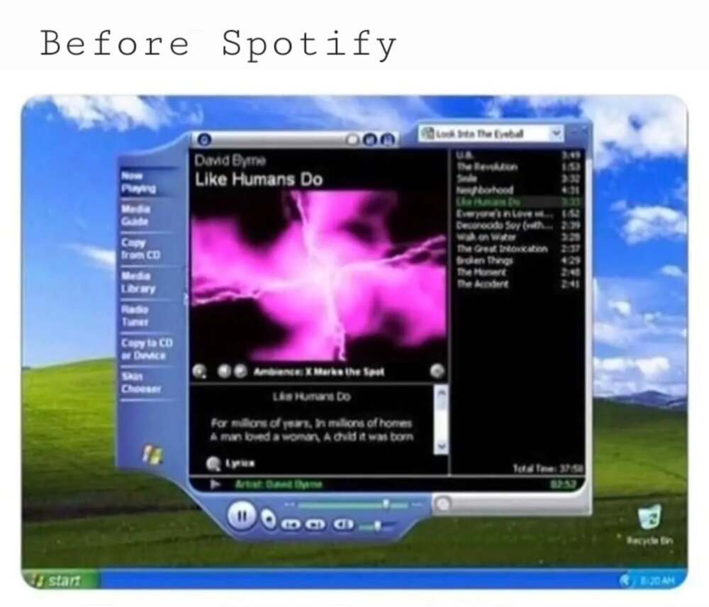 A nostalgic millennial meme showing a Windows Media Player skin running on a Windows XP desktop, playing the sample track "Like Humans Do" by David Byrne. It captures the pre-streaming ritual of customizing your desktop music player.