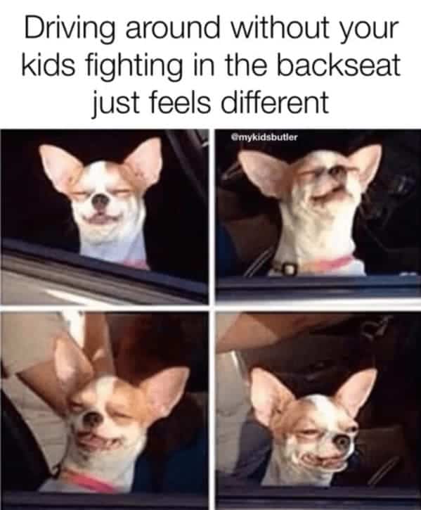 Four-panel chihuahua in car window looking blissful captioned driving without kids fighting in backseat