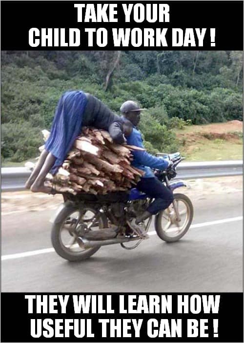 motorcycle meme showing a man on a blue bike carrying a massive load of lumber. A small child is laid flat across the top of the wood pile. The text jokes: "TAKE YOUR CHILD TO WORK DAY! THEY WILL LEARN HOW USEFUL THEY CAN BE!"