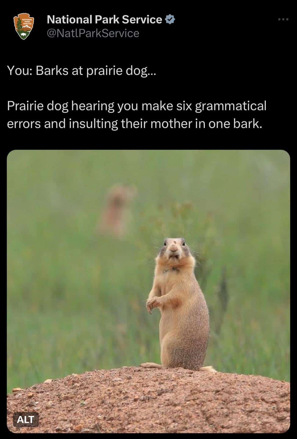 National Park Service tweet joking about prairie dog hearing grammatical errors and insults in single bark