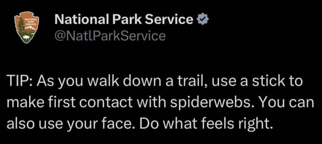 National Park Service tweet tip suggesting use stick for spiderwebs or face do what feels right