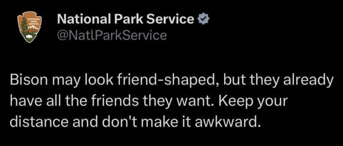 National Park Service tweet warning bison look friend shaped but keep distance don't make it awkward