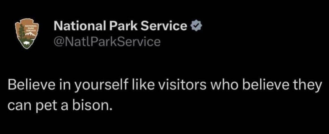 National Park Service tweet joking about believing in yourself like visitors who think they can pet bison