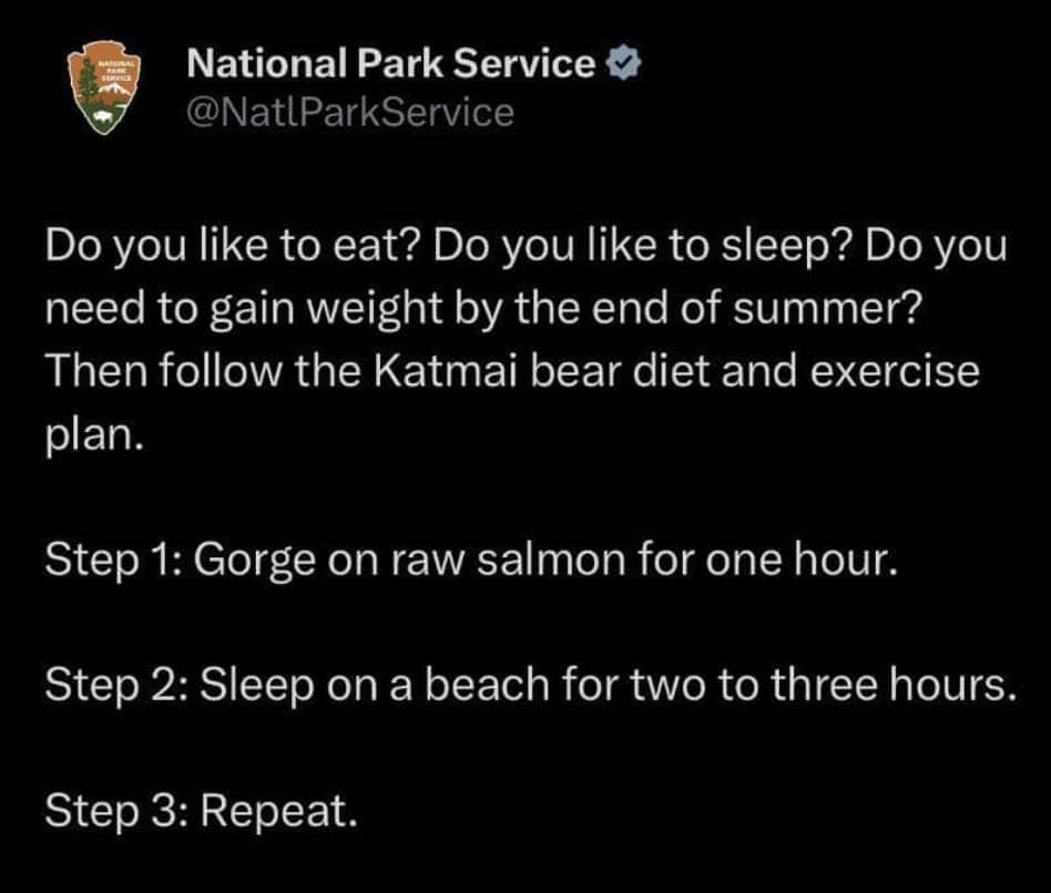 National Park Service tweet outlining Katmai bear diet plan gorge on salmon sleep on beach repeat steps