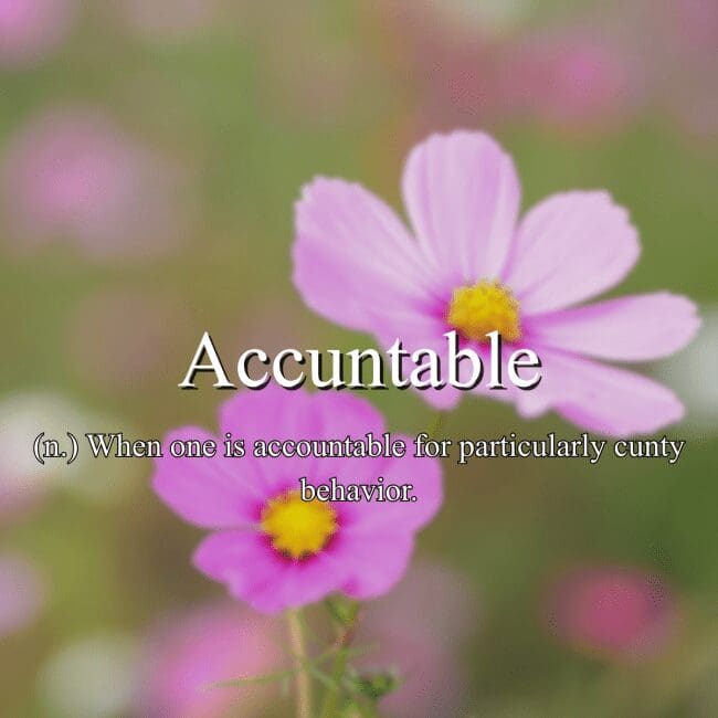 Fake dictionary definition of "Accuntable" as a portmanteau of accountable and a vulgar descriptor