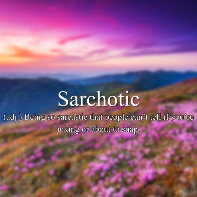 Fake dictionary definition of "Sarchotic" meaning dangerously sarcastic to the point of unpredictability