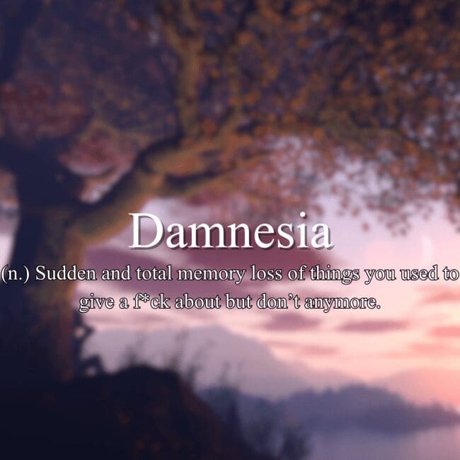 Fake dictionary definition of "Damnesia" meaning selective memory loss for things you no longer care about