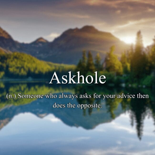 Fake dictionary definition of "Askhole" meaning someone who asks for advice then ignores it completely