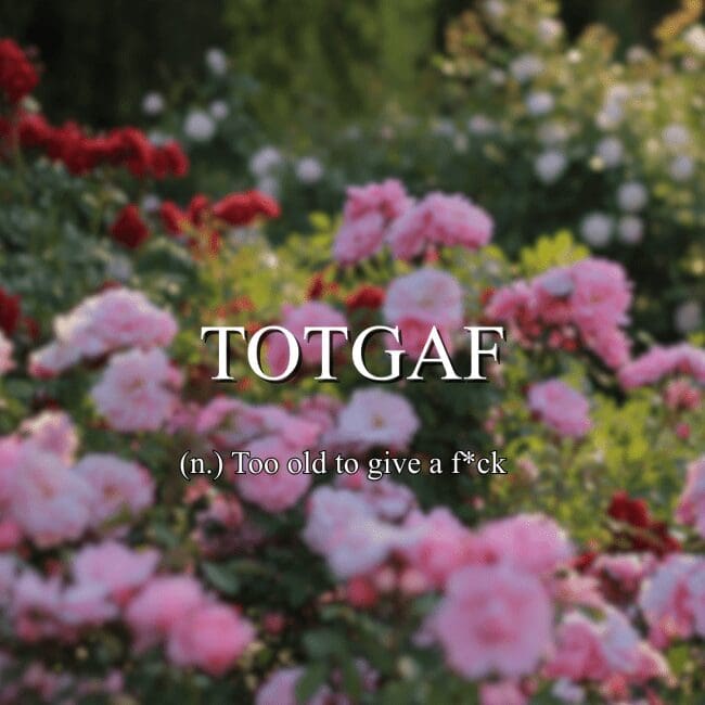 Fake dictionary definition of TOTGAF acronym meaning too old to give a care anymore