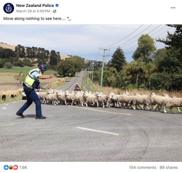 NZ Police Facebook post showing an officer directing massive sheep traffic across a rural roadway.