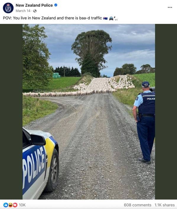 NZ Police Facebook post showing a sheep traffic jam blocking a gravel road with baa-d pun.