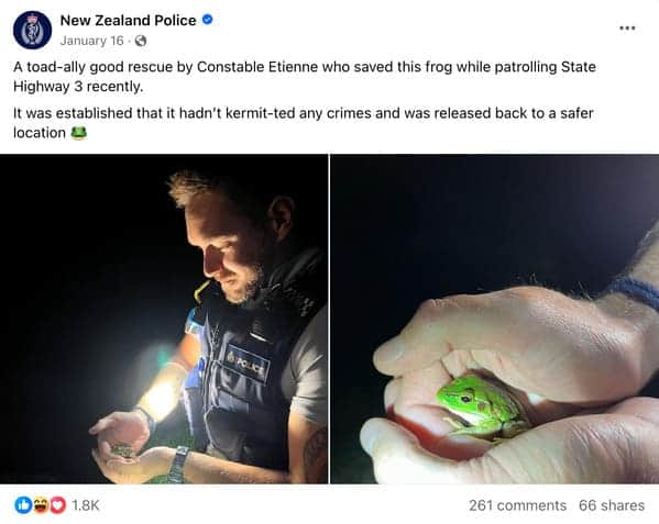 NZ Police Facebook post with frog puns about Constable Etienne rescuing a small green frog roadside.