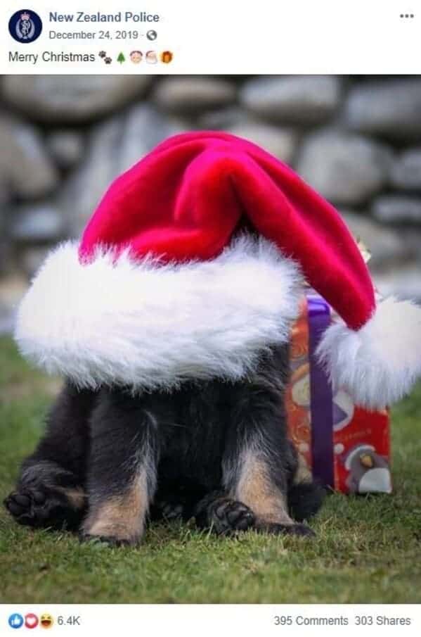 NZ Police Christmas post featuring a police puppy wearing a Santa hat covering its entire face.