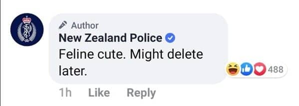 NZ Police comment replying "Feline cute, might delete later" under a kitten post about Facebook.