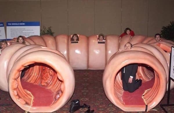 An absolutely cursed image of a corporate seminar featuring a massive, walk-through model of a human colon, with participants peeking their heads through the "intestinal walls" and a man in a suit kneeling inside one of the tunnel openings.