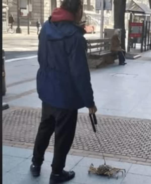 A confusing no context image of a person walking down a city street wearing a blue parka, casually leading a large, live crab along the sidewalk on a thin leash as if it were a pet dog.