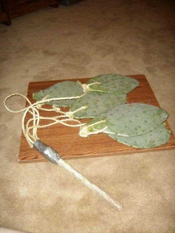 A terrifyingly cursed image of a DIY multi-tailed whip made from prickly pear cactus pads tied to thick ropes and a wooden handle with duct tape, resting ominously on a beige carpet.