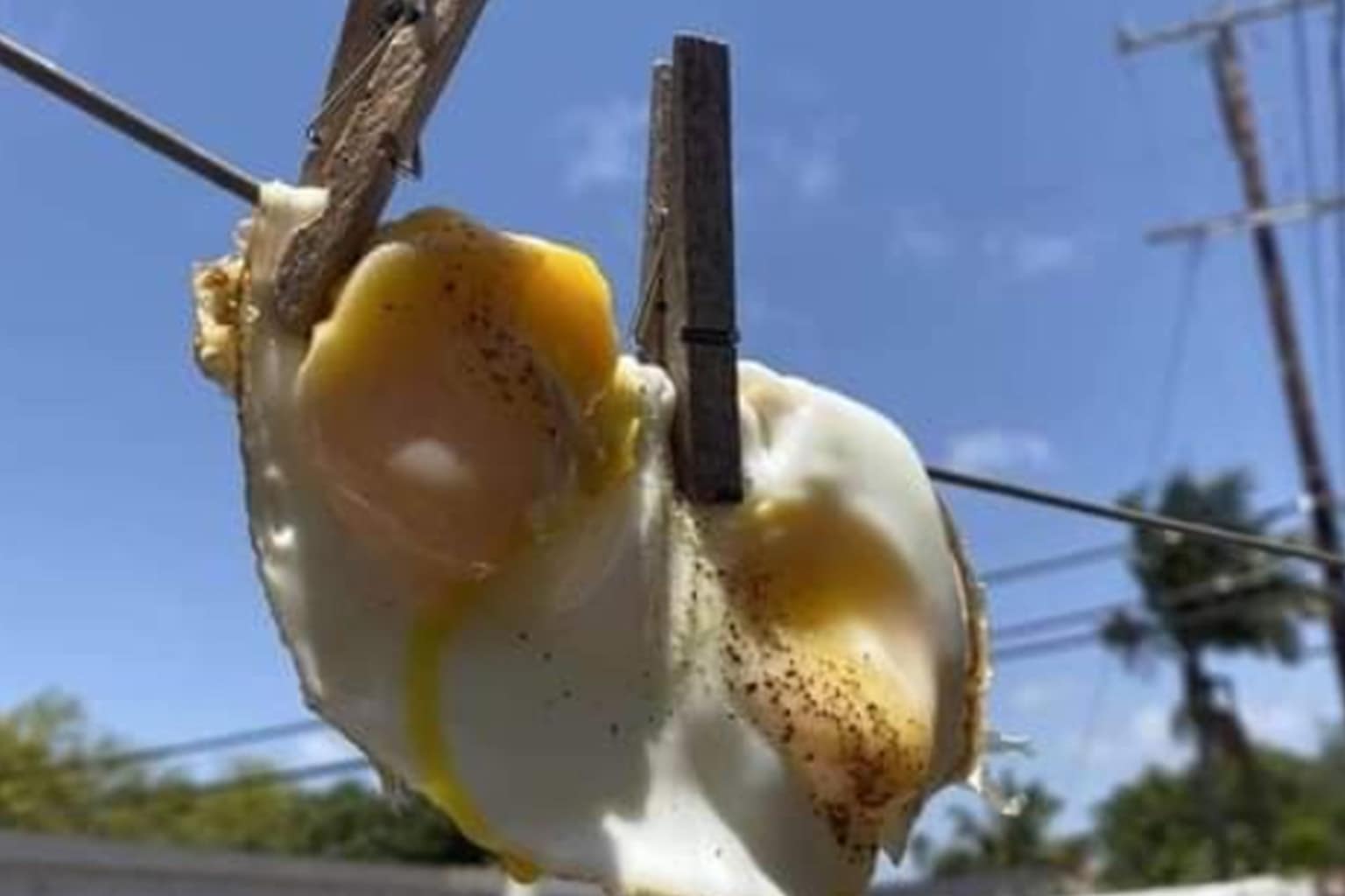 A no context images gallery compilation documenting the bizarre edges of human behavior, featuring a paint tray inexplicably filled with baked beans, a refrigerator packed tight with lounging male action figures, and a group of professionals posing inside a giant walk-through human colon.