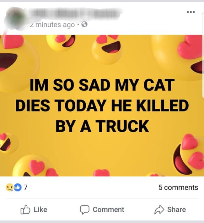 Social media post announcing a sad cat death, contrasting with joyful heart-eyes emojis on the background.
