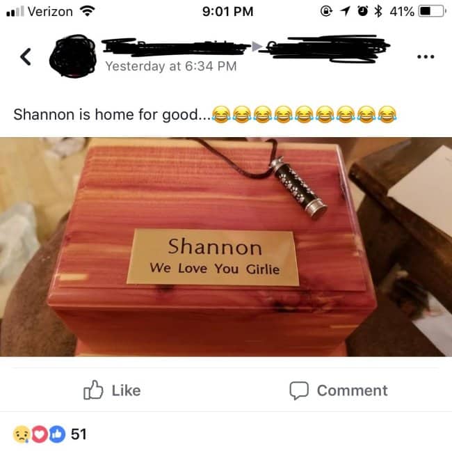 Facebook post about a pet's ashes returning home, juxtaposed with a string of laughing-crying emojis in the text.