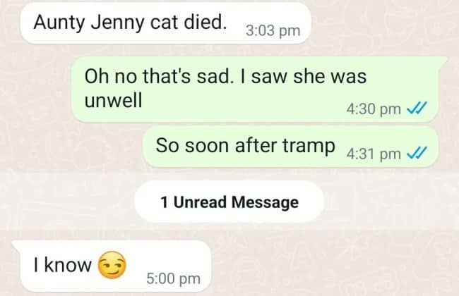 A messaging thread where one person uses a playful smirk emoji to acknowledge a cat's death.