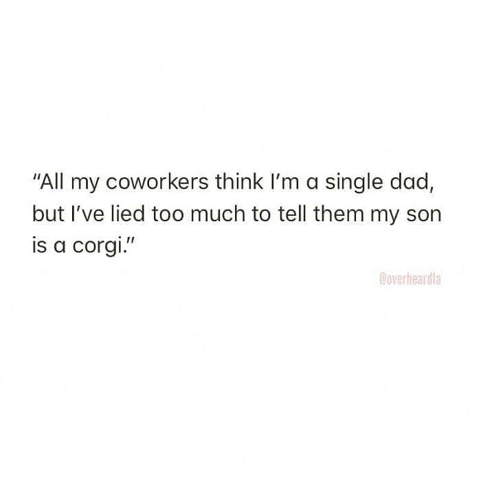 hilarious Overheard LA confession about the "pet parent" lifestyle. The text reads: "All my coworkers think I’m a single dad, but I’ve lied too much to tell them my son is a corgi," highlighting the extreme commitment to the bit.