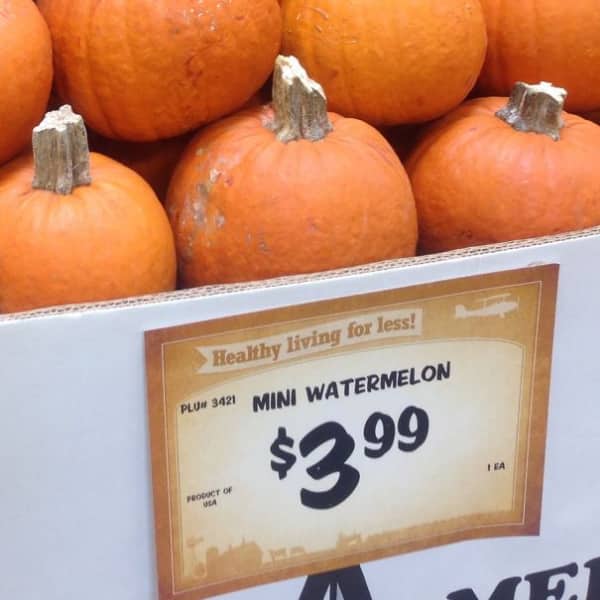 Display of orange pumpkins incorrectly labeled and priced as mini watermelons at grocery store produce section