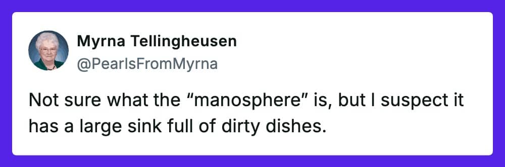 A post from Pearls from Myrna speculating that the manosphere includes a sink of dirty dishes.