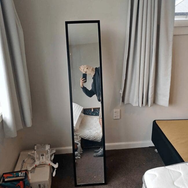 Tall narrow mirror for sale reflecting person in horse head mask taking selfie