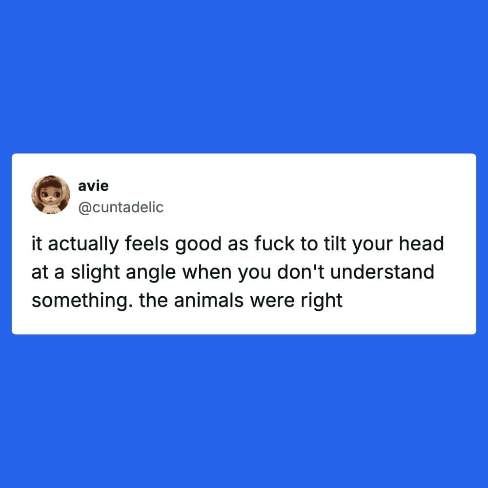 A relatable pet meme tweet from @cuntadelic about the physical joy of imitating animals by tilting your head when confused, concluding that "the animals were right."