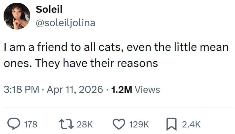 A supportive cat meme tweet from @soleiljolina declaring her friendship with all felines, "even the little mean ones," because she knows they have their reasons for the attitude.