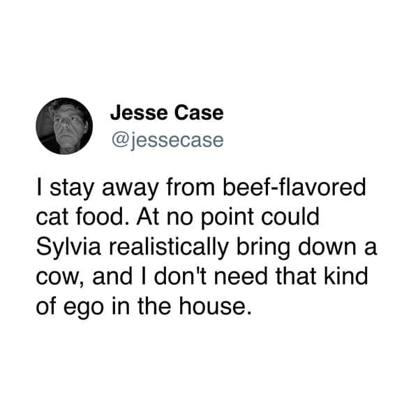 A witty cat meme tweet from Jesse Case explaining why he avoids beef-flavored food: he doesn't want his cat Sylvia to develop the unearned ego of a predator who thinks they could "realistically bring down a cow."