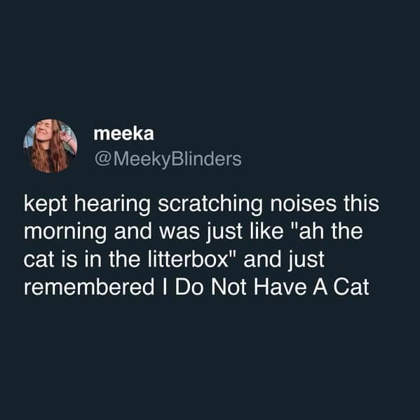 A "horror-lite" cat meme tweet from @MeekyBlinders describing the moment they heard scratching and thought, "ah the cat is in the litterbox," before remembering they do not actually own a cat.